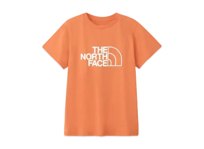 The North Face Short Sleeve ES Big Logo Tee "Faded Iron Bronze"