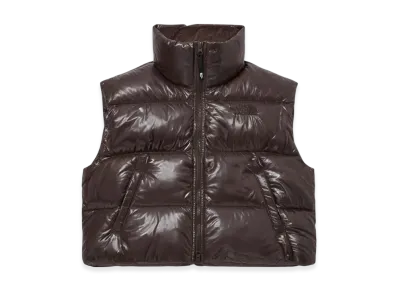 The North Face White Label Glossy Down Vest (W) "Brown"