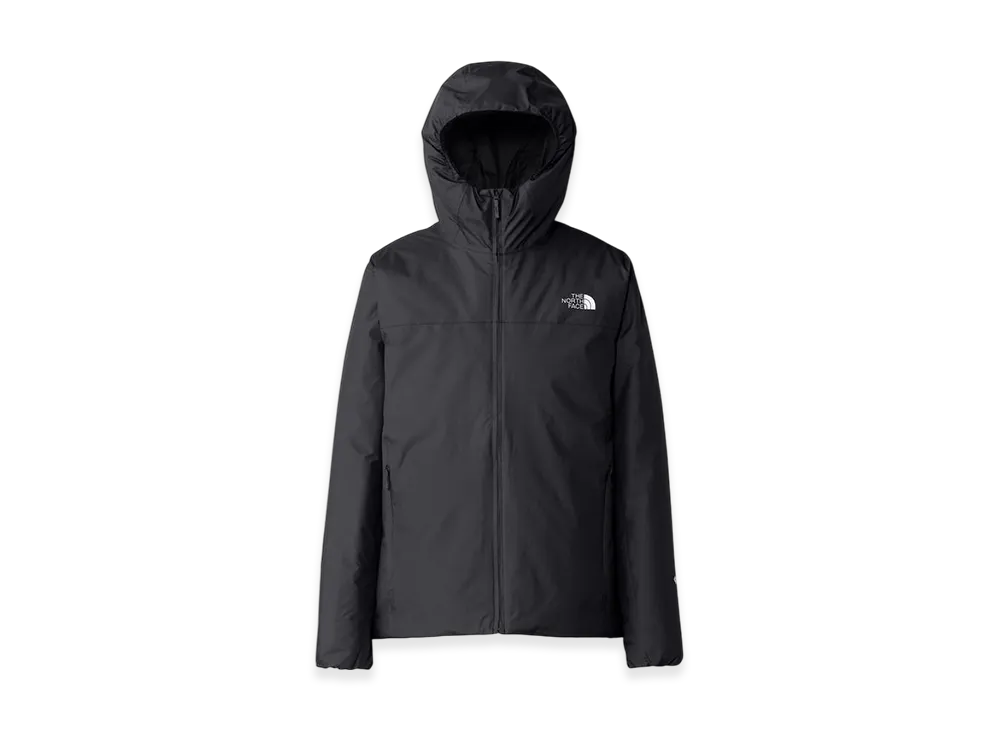 The North Face GORE-TEX Action Insulated Jacket "Black"