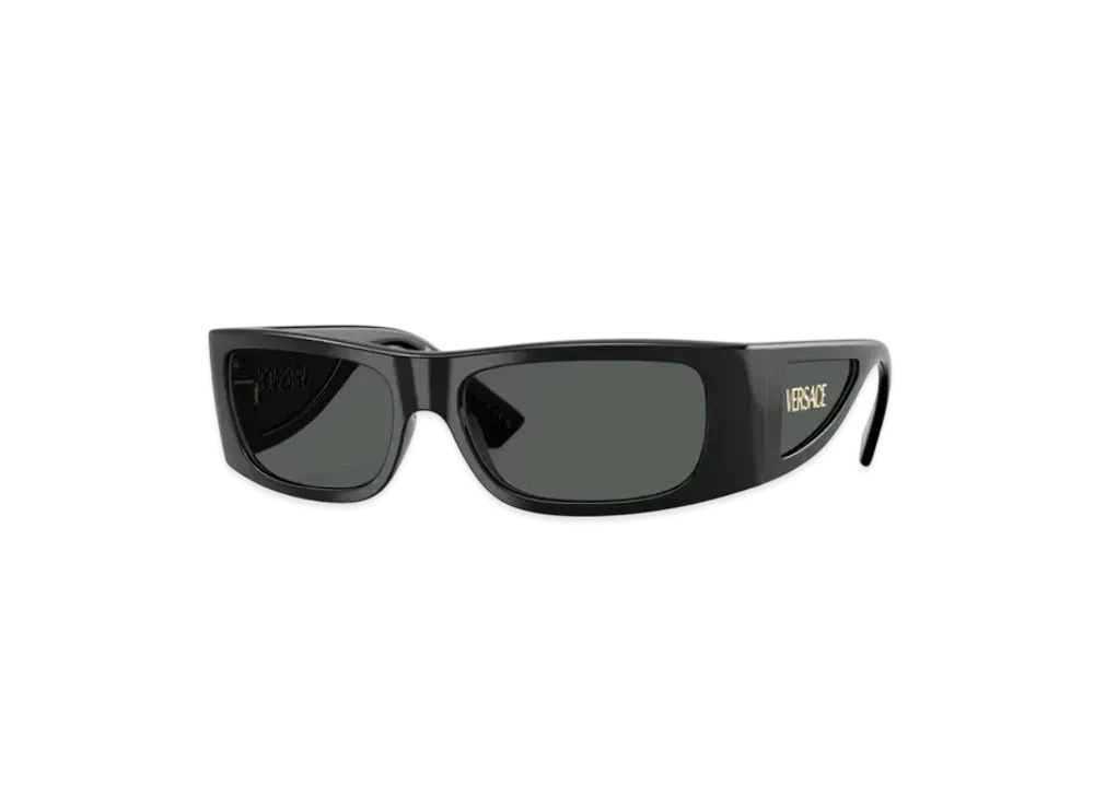 Versace Lens Logo Sunglasses "Black"