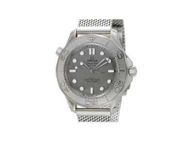 OMEGA Watch "Silver"