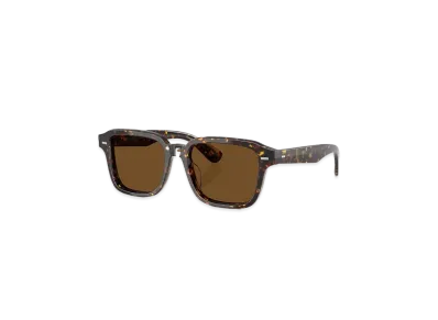 OLIVER PEOPLES Errisson Sun "Atago Tortoise"
