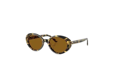 OLIVER PEOPLES Lumar "Tokyo Tortoise"