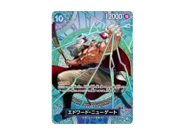 OPC-TCG-2026-0217-OP13-042-of. OPC-TCG-2026-0217-OP13-042-of.