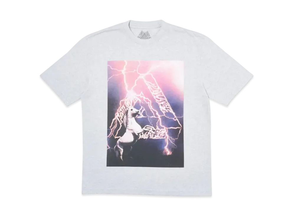 PALACE Corn T-Shirt "Grey"