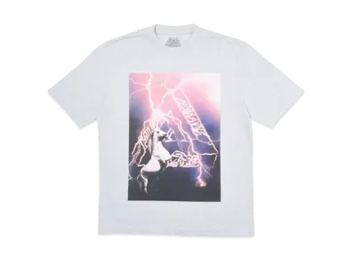 PALACE Corn T-Shirt "Grey"