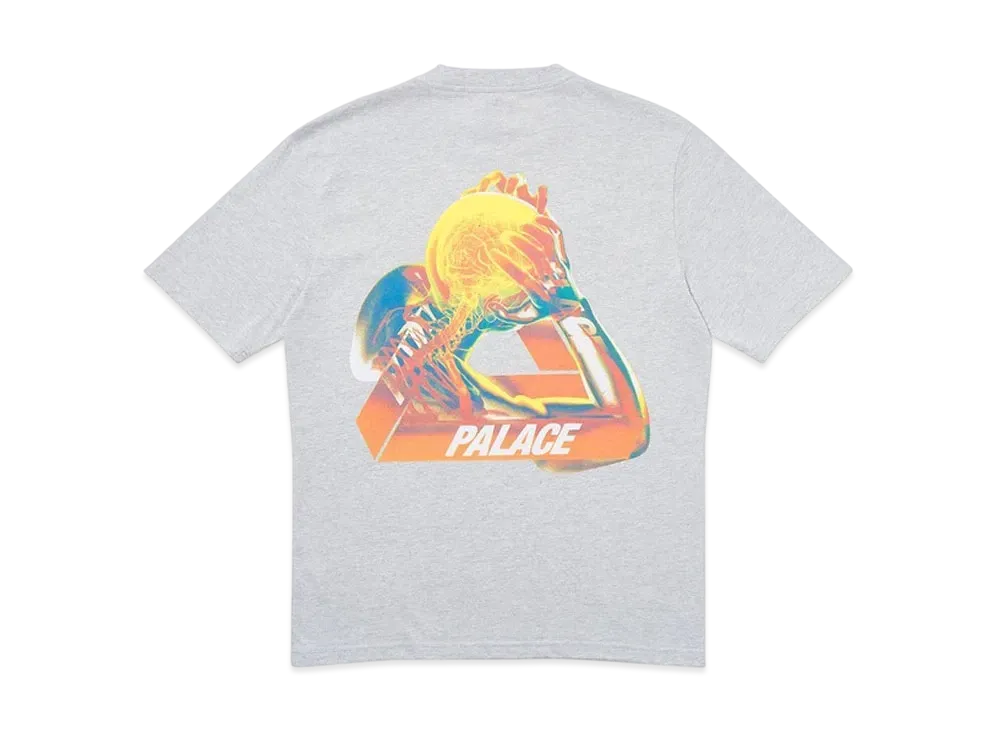 PALACE Tri-Gaine T-Shirt "Grey"