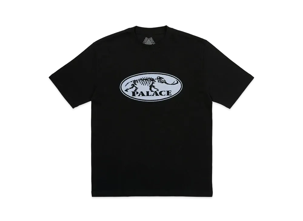 PALACE Bone Dry T-Shirt "Black"
