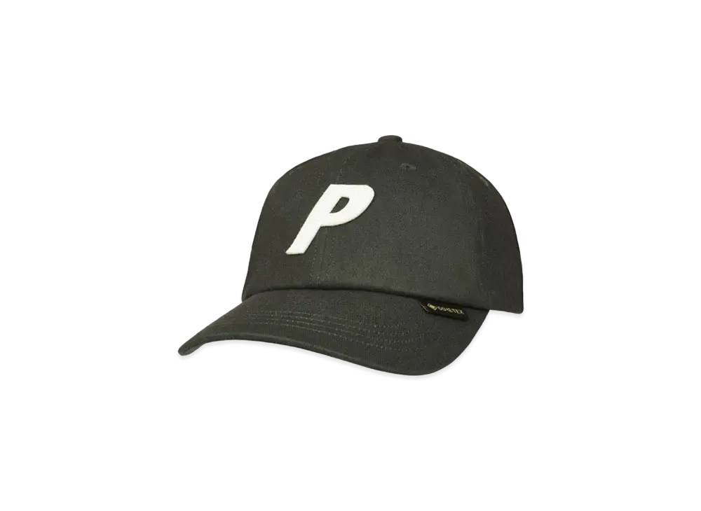 PALACE Gore-Tex Pigment P 6-Panel "Green"