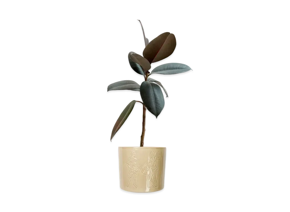 PALACE Plant-Pot "Multi"