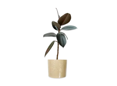 PALACE Plant-Pot "Multi"