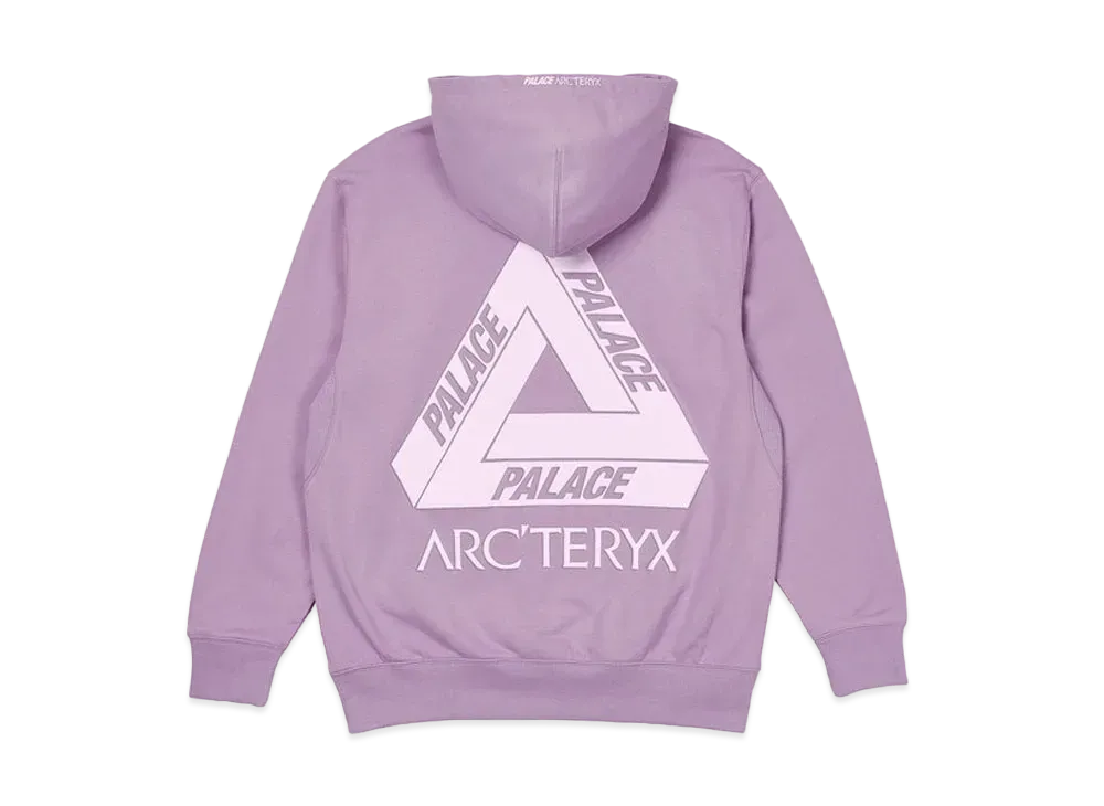 PALACE / Arc'Teryx Alpha Hood "Pink" P19ARXHD005