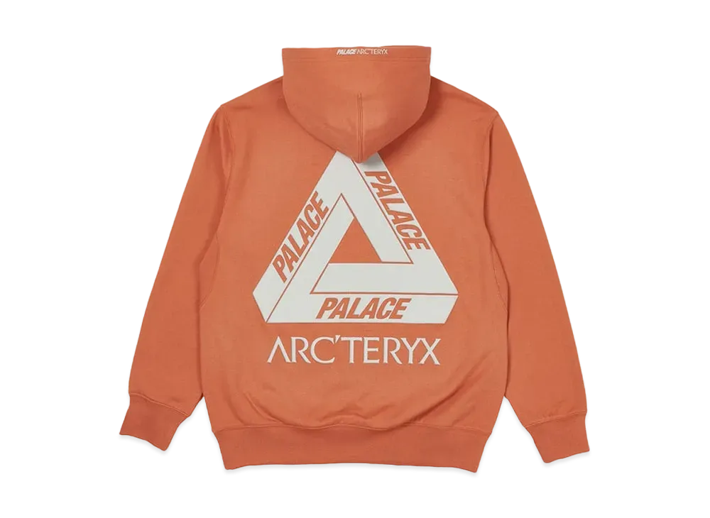 PALACE / Arc'Teryx Alpha Hood "Ochre" P19ARXHD004