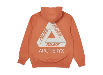 PALACE / Arc'Teryx Alpha Hood "Ochre" P19ARXHD004
