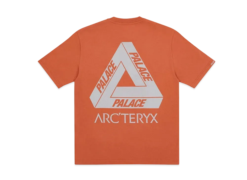PALACE / Arc'Teryx Alpha T-Shirt "Ochre" P19ARXTS005