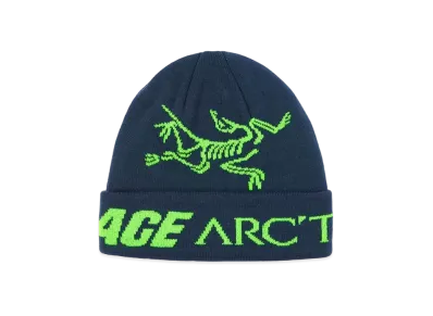 PALACE / Arc'Teryx Alpha Beanie "Teal" P19ARXBN002