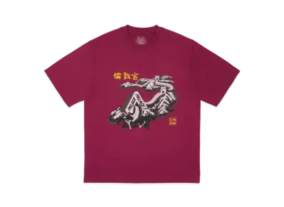 PALACE Great Wall Of Tri-Na T-Shirt "Berg"