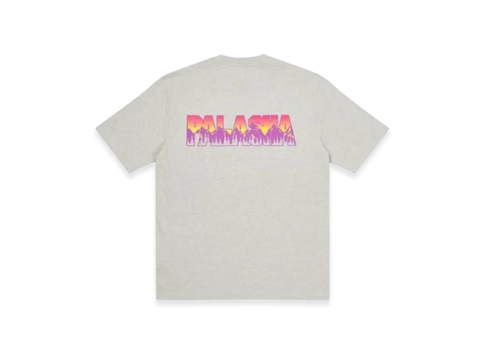 PALACE Palaska T-Shirt "Grey Marl"