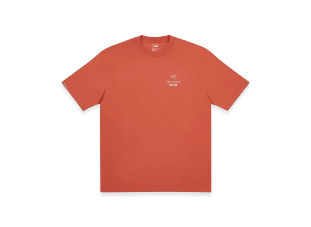 PALACE x Arc'Teryx T-Shirt "Ochre"
