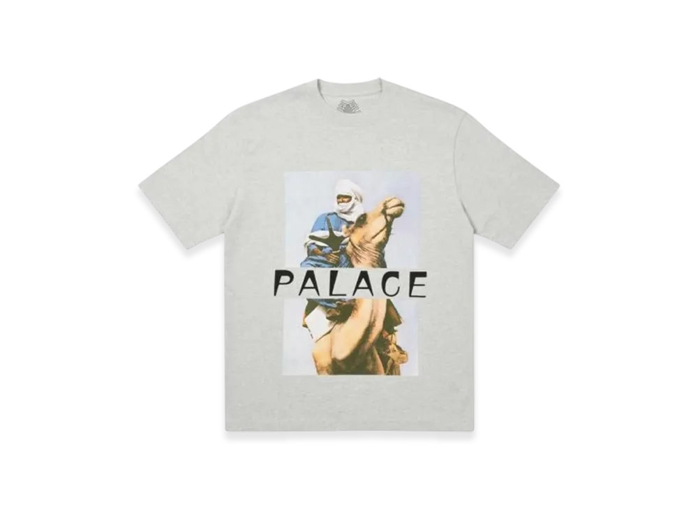 PALACE Camel T-Shirt "Grey Marl"