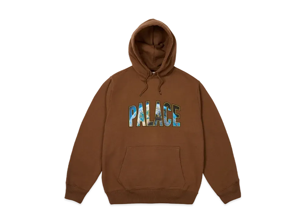 PALACE Earthy Hood "Caked Brown"