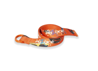 PALACE Frogger Belt "Multi"