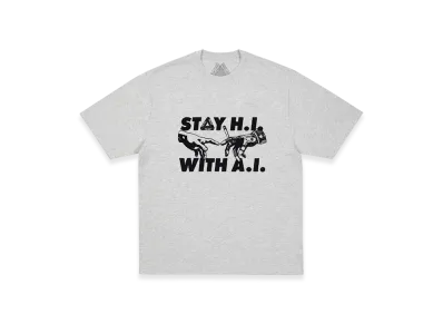 PALACE Indica T-Shirt "Grey Marl"