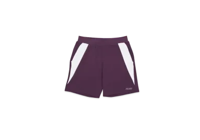 PALACE Peak Shorts "Purple White"