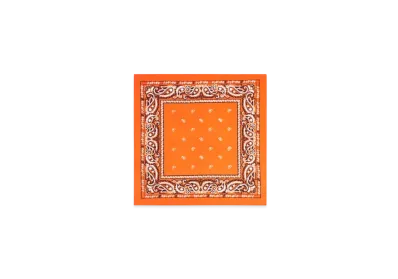 PALACE Roza Bandana "Flame"
