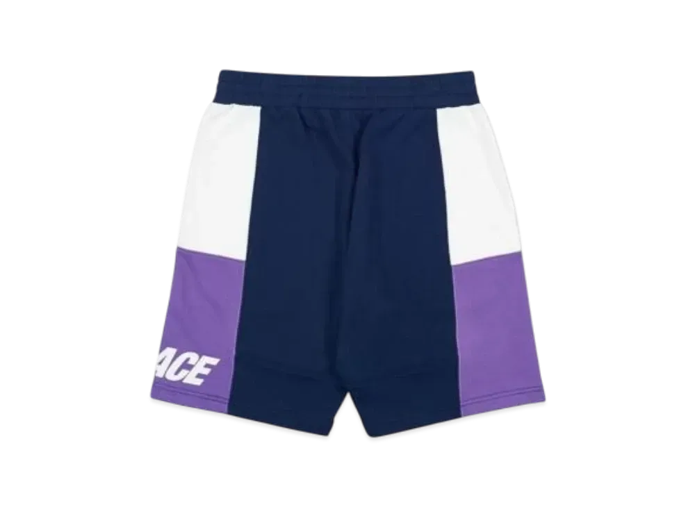 PALACE S-Drop Shorts "Purple"