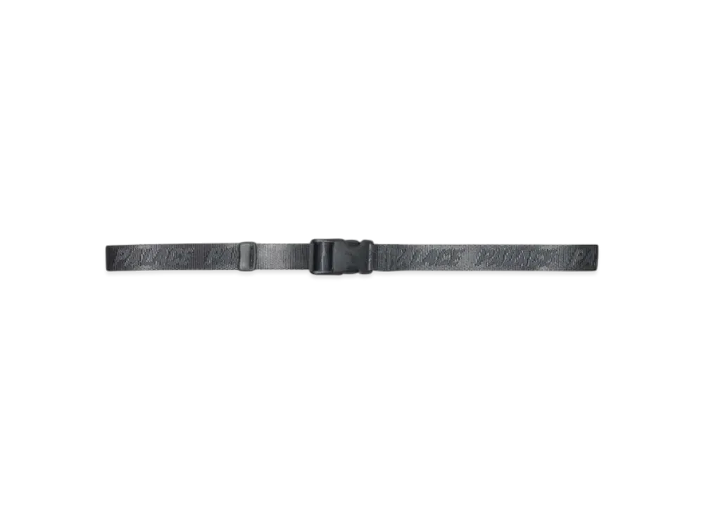 PALACE P Clip Webber Belt "Black"