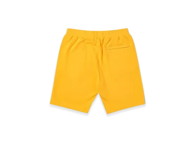 PALACE Verto Short "Orange"
