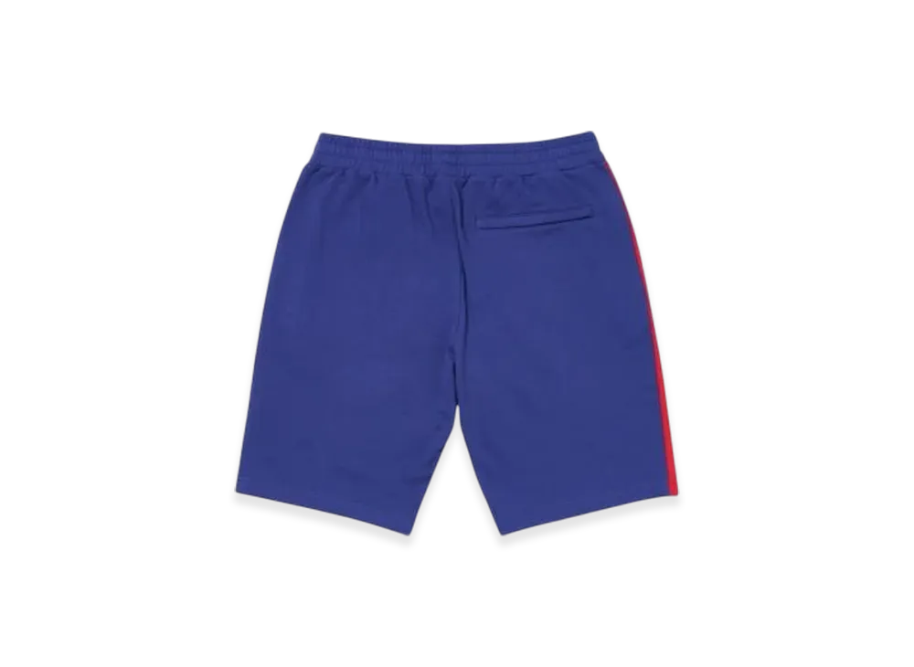 PALACE Verto Short "Purple"