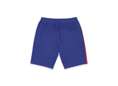 PALACE Verto Short "Purple"