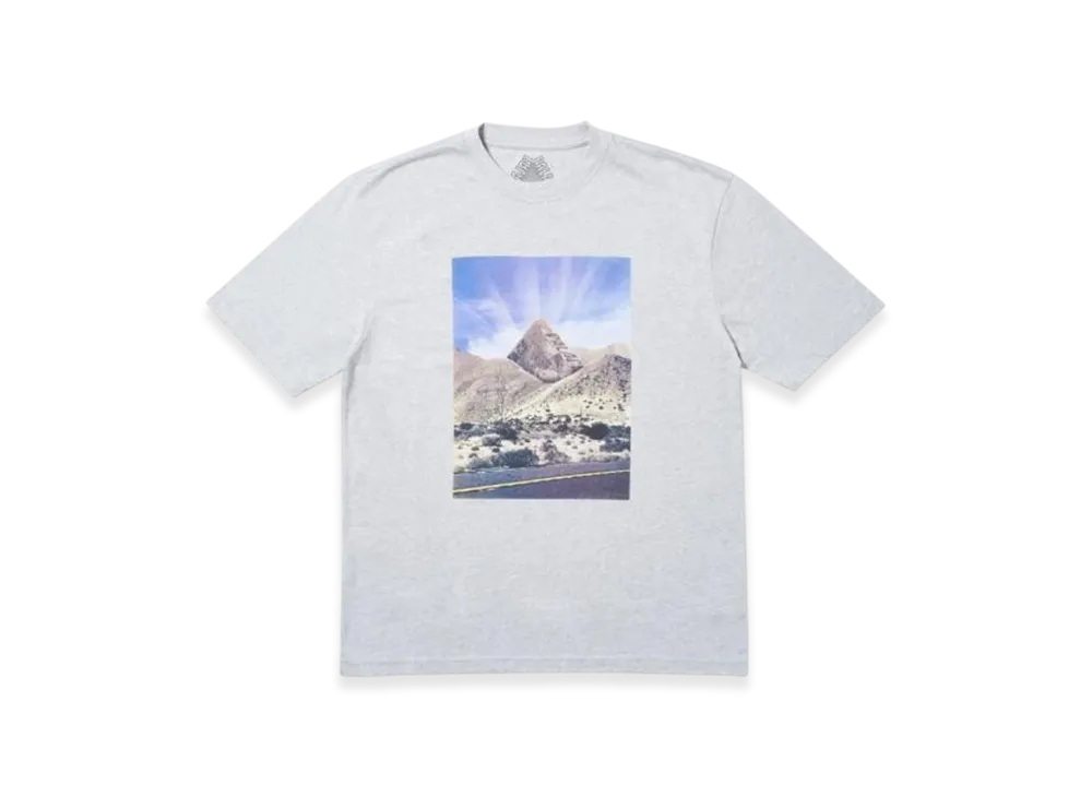 PALACE P-Sprang T-Shirt "Grey Marl"