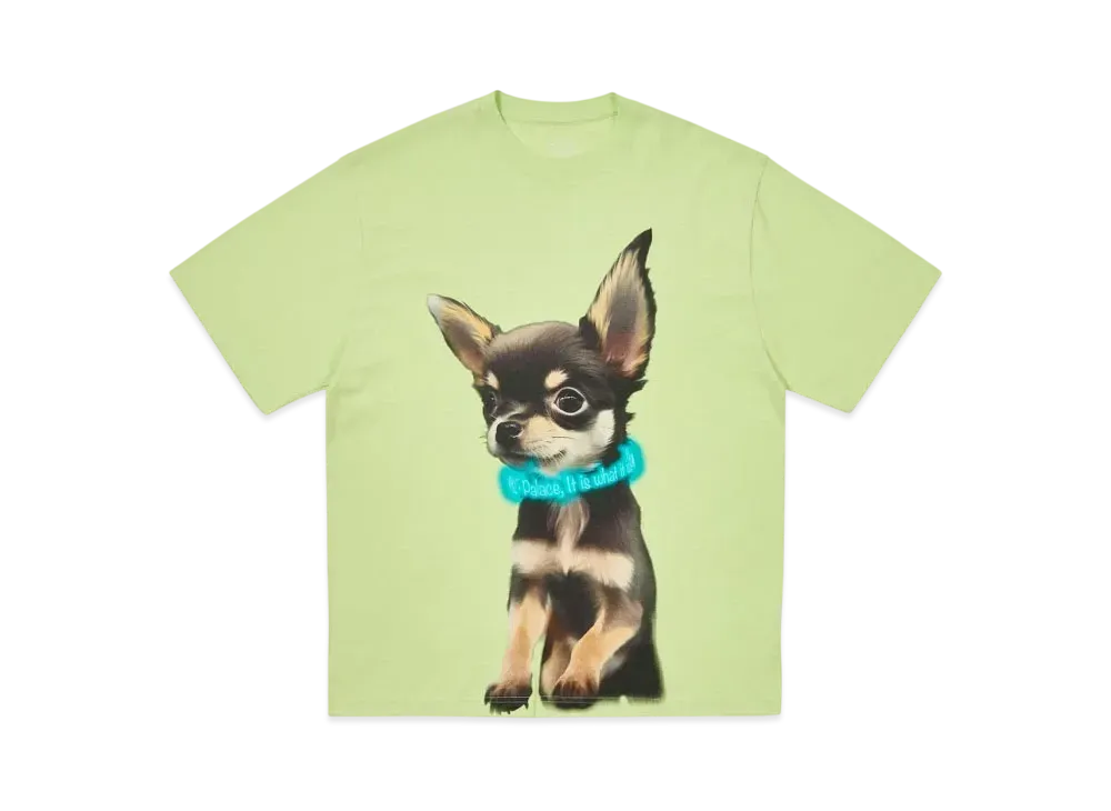 PALACE Yappy T-Shirt "Mojito"