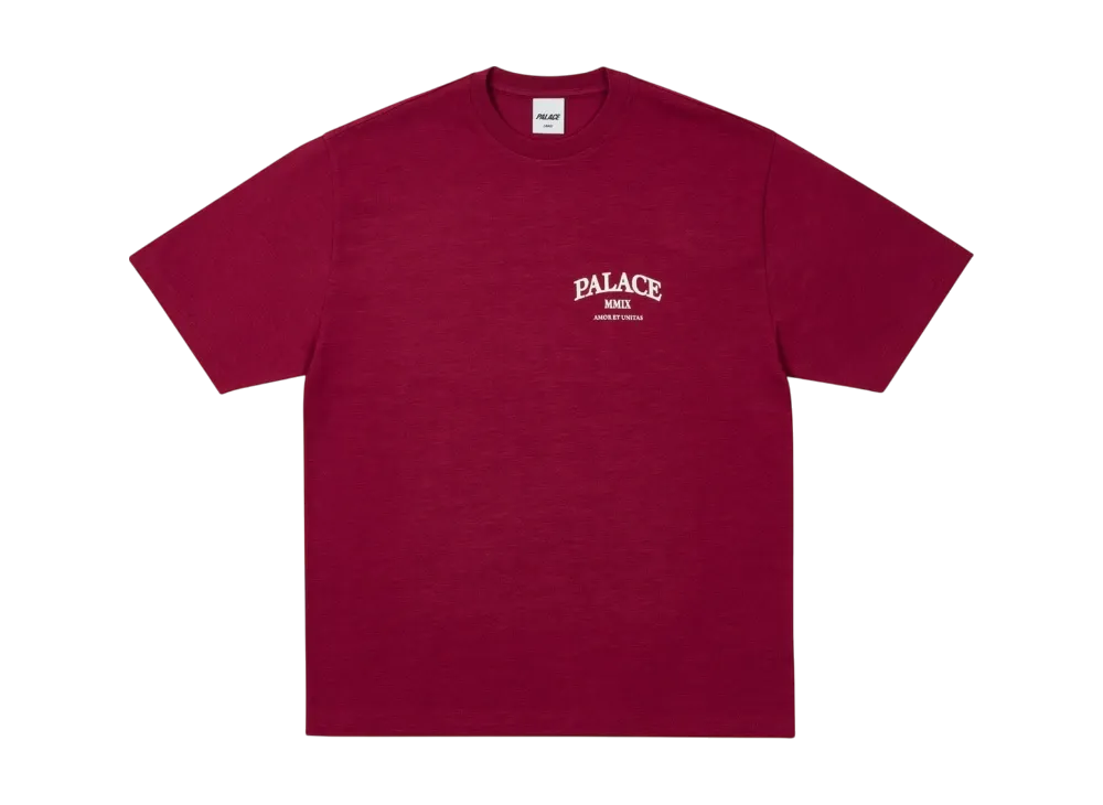 PALACE Unitas Slub T-Shirt "Berg"
