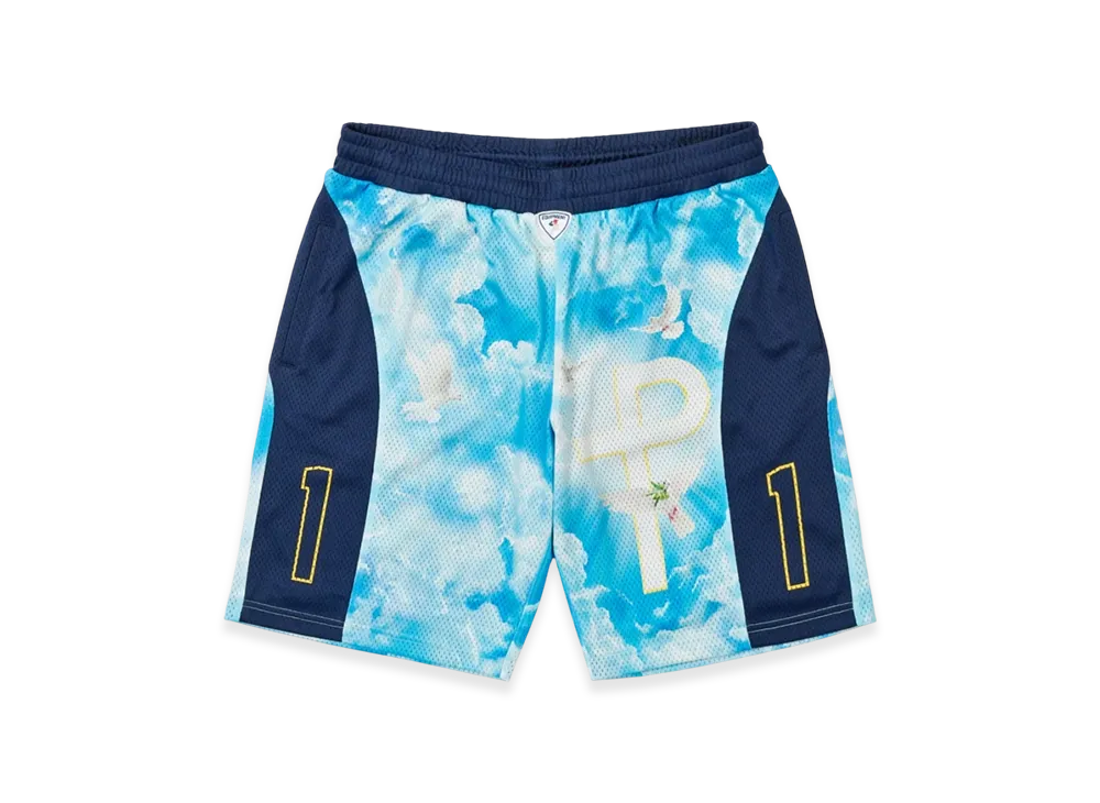 PALACE 1 Truth Short "Navy"