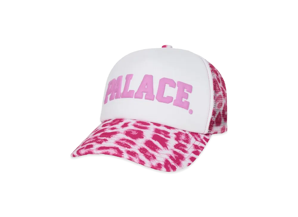 PALACE x The North Face Purple Label WINDSTOPPER Field Cap