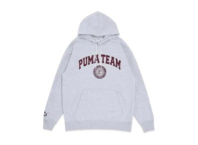 PUMA Tea Hoodie TR "Gray"