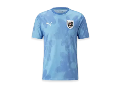 PUMA x Salehe Bembury Soccer Austria GK Jersey "Team Light Blue"
