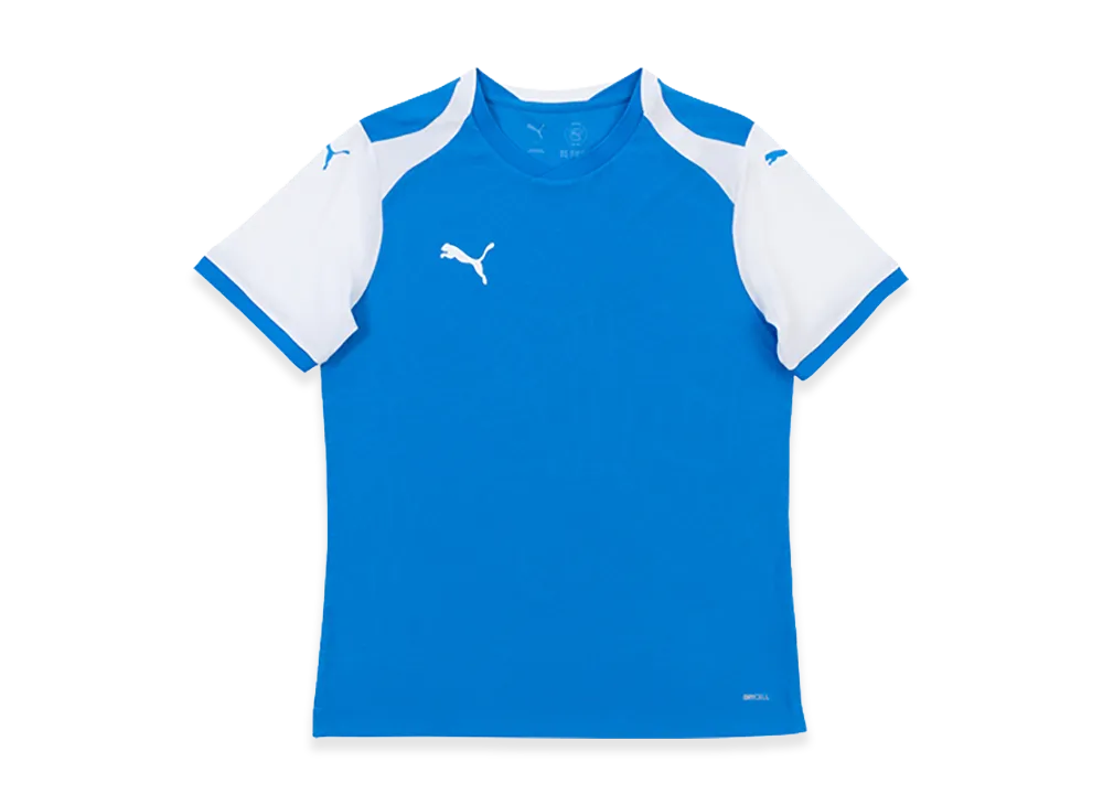PUMA teamFINAL 26 Knit Match Shirt "Blue"