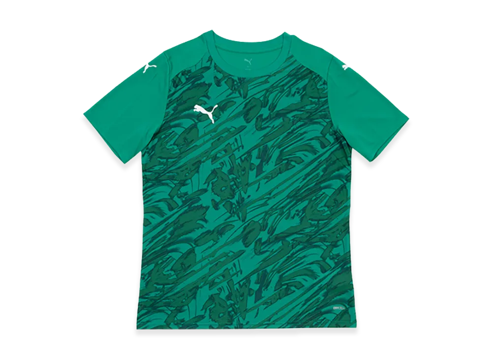 PUMA teamFINAL Graphic Match Shirt "Sports Green"