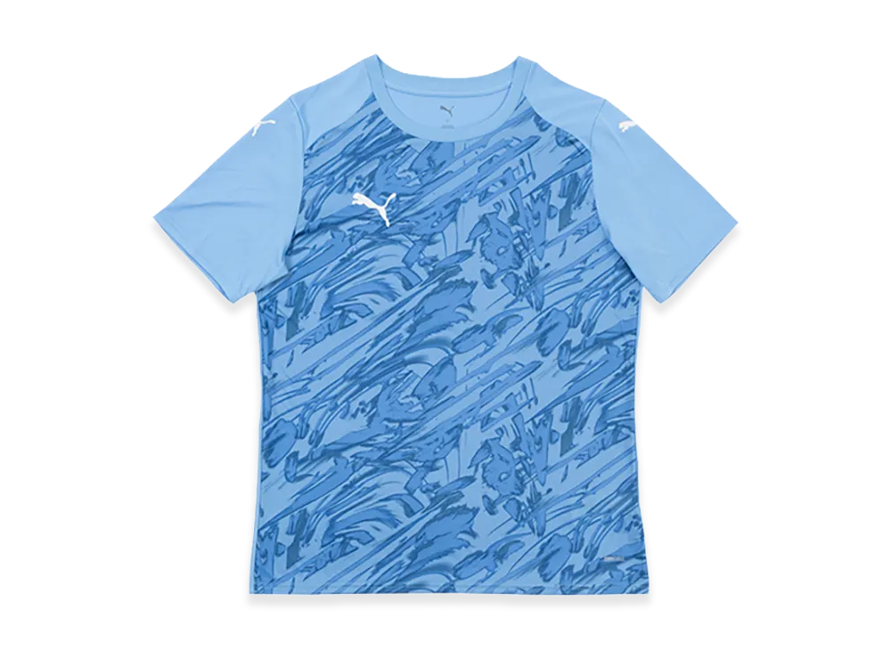 PUMA teamFINAL Graphic Match Shirt "Team Light Blue"