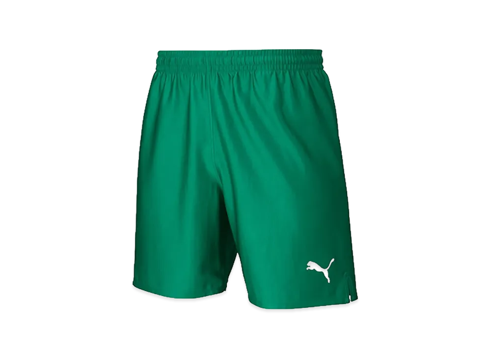 PUMA LIGA Match Shorts Core "Pepper Green/Puma White"