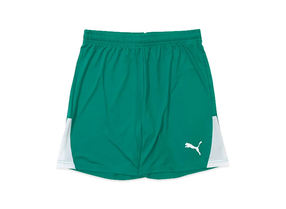 PUMA teamLIGA 26 Shorts "Sports Green"