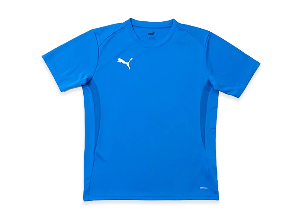 PUMA teamGOAL Multi Shirt "Ignite Blue"