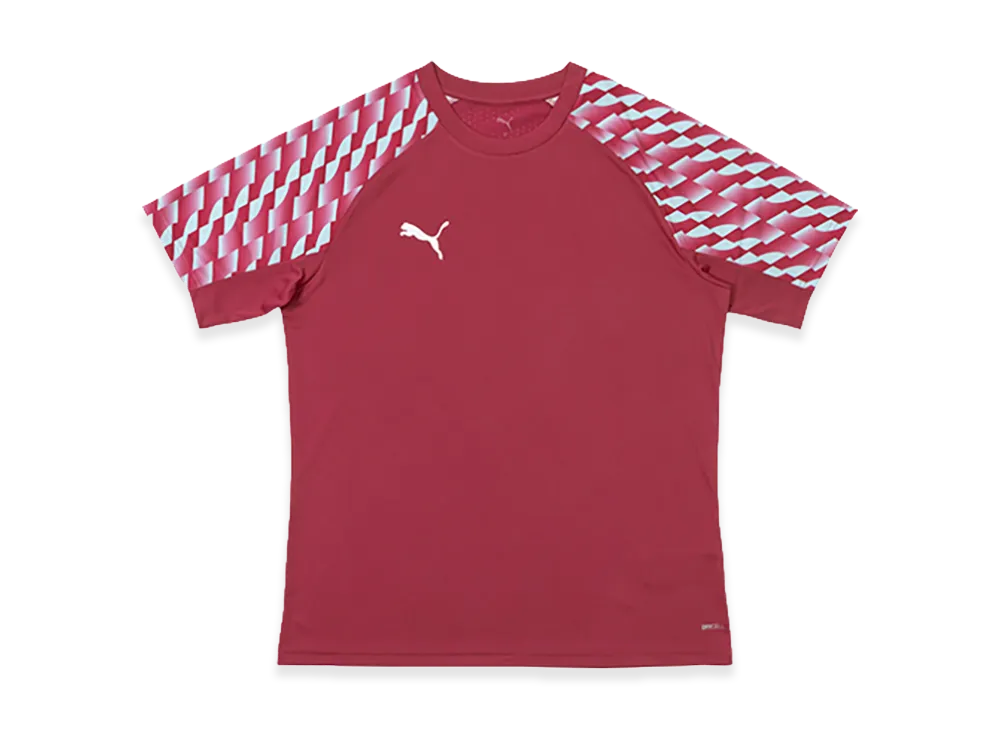 PUMA teamLIGA 26 Shirt "Port"
