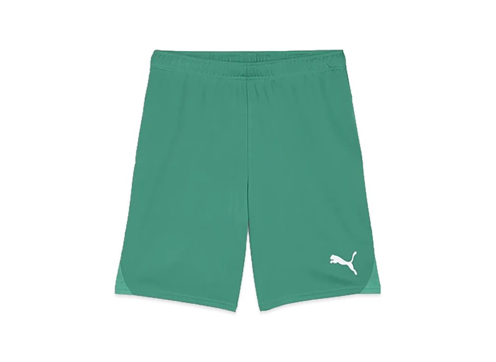 PUMA teamGOAL Match Shorts "Sports Green"