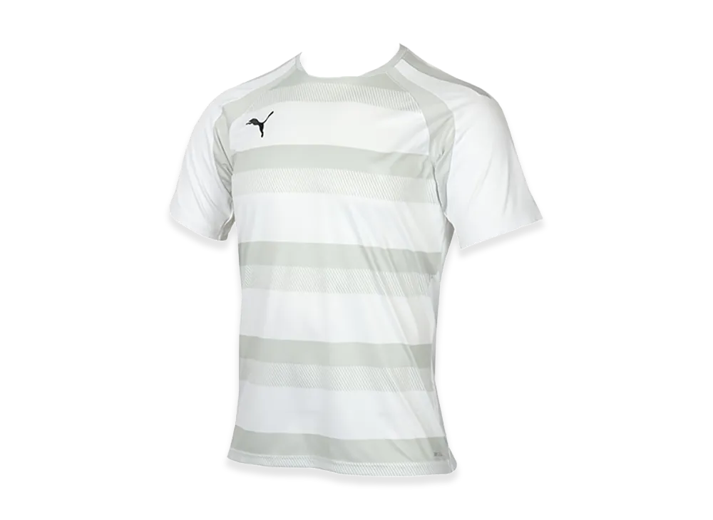 PUMA teamVISION Hoop Match Shirt "Puma White/Glacier Gray"